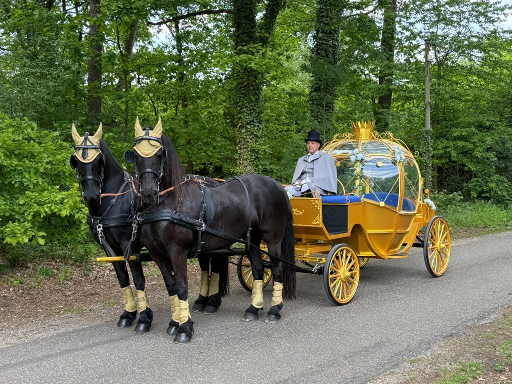 Met paarden