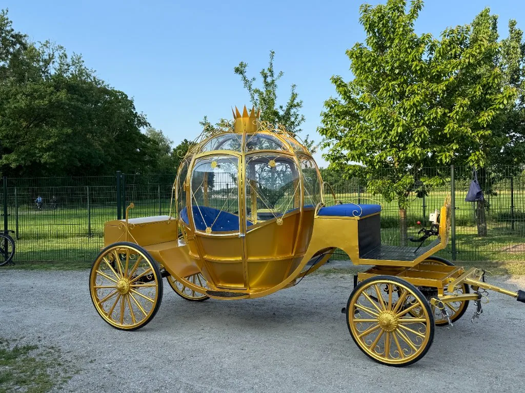 Cinderella Koets