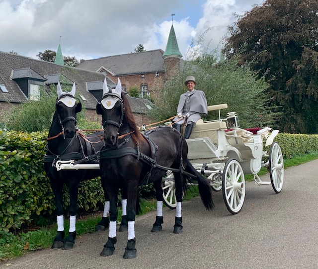 Met paarden