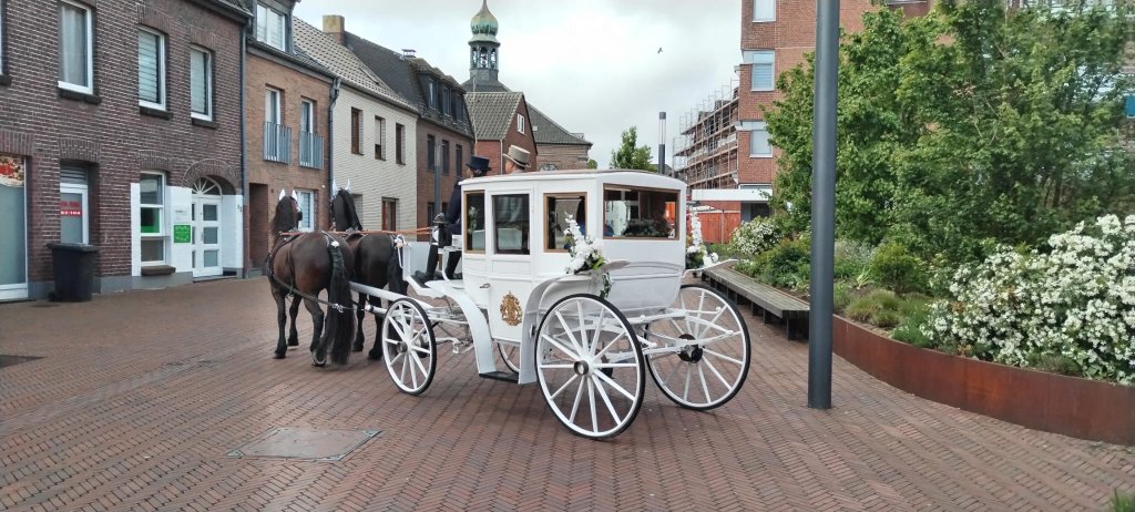 Met paarden