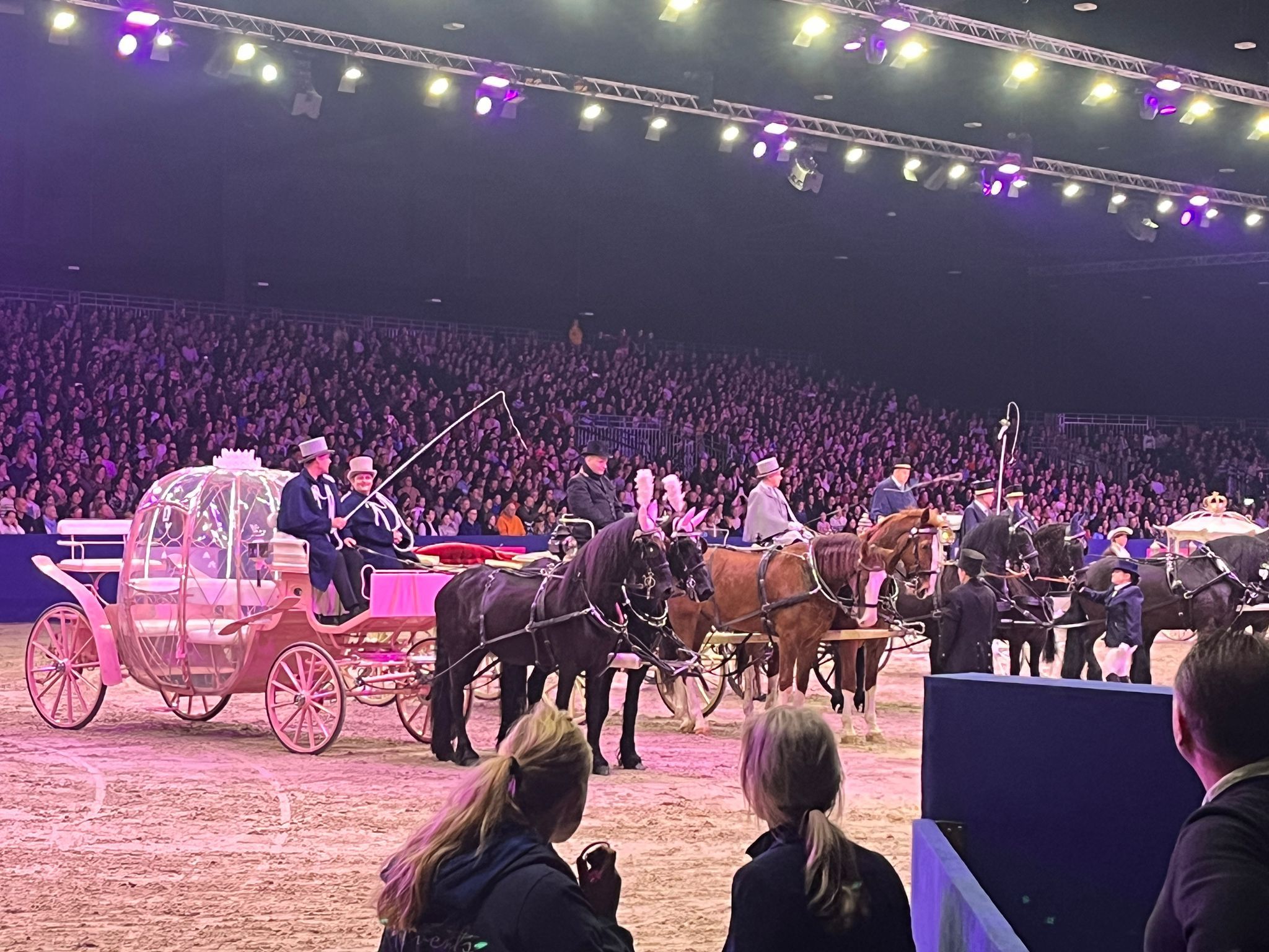 Horse Event in de Brabanthallen, Den Bosch
